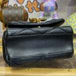 Louis Vuitton Pico GO-14 M23625 Black